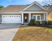 344 Southgate Ct., Pawleys Island image