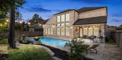69 Winter Sunrise Circle, The Woodlands