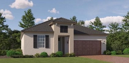 17222 Mango Shay Court, Land O' Lakes