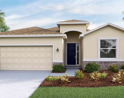 12485 Dora Trail, Parrish