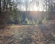 N15950 Tamarack Rd, Park Falls image