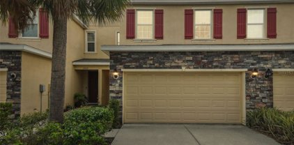 13111 Canopy Creek Drive, Tampa