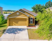13221 Waterford Castle Drive, Dade City image