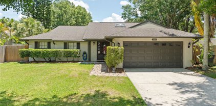 15005 Sunglow Court, Tampa