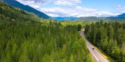 McKenzie Hwy, McKenzie Bridge