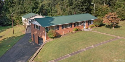 466 Ned Mcgimsey  Road, Nebo
