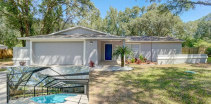 2212 Andre Drive, Lutz