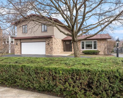 6561 Dunham Road, Downers Grove