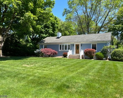 54 Spencer Rd, Bernards Twp.