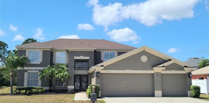 12915 Carlington Lane, Riverview