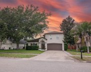438 Drexel Ridge Circle, Ocoee image