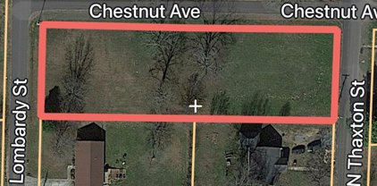 lot 1 Chestnut Avenue, Albertville