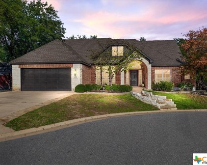 3103 Amber Forest Trail, Belton
