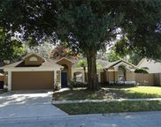 787 Crooked Creek Drive, Ocoee image