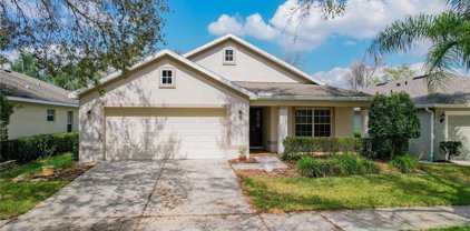 424 Down Pine Drive, Seffner