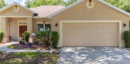 11419 Sterling View Court, Clermont