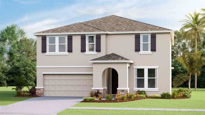 260 Mangrove Manor Drive, Apollo Beach