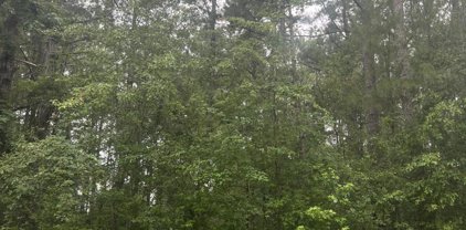 134 Era Lane, Summerville