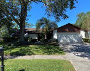 16220 W Course Drive, Tampa image