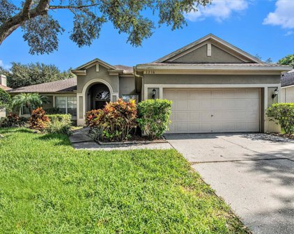 2216 Longmore Circle, Valrico
