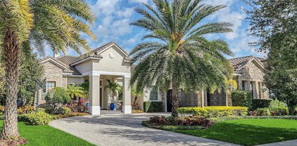 11603 Vinci Drive, Windermere