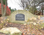 Saddlebrook Lot 154 Drive, Boardman image