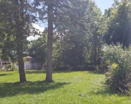 1015 W Euclid Avenue, Arlington Heights