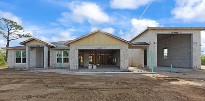 3509 Umbrella Tree Drive, Edgewater