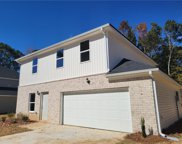 107 Ison Woods Court, Griffin image