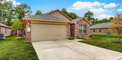 10135 Shagbark Hickory Court, Tomball