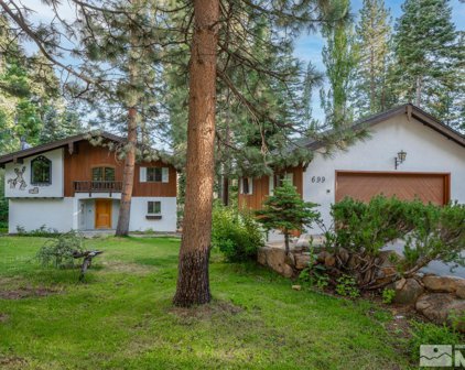 699 Birdie Way, Incline Village