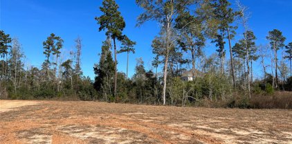 0114 Jim Hall Lane, Conroe
