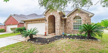 13601 May Pine Court, Rosharon