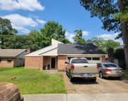 23310 Earlmist Drive, Spring image
