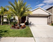 12402 Ballentrae Forest Drive, Riverview image