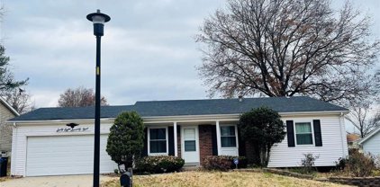 6879 Finchdale  Court, Florissant