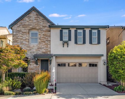 238 Crestview Circle, Daly City