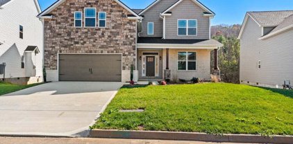 12644 Izzy Mule Lane, Knoxville