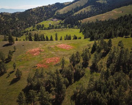 4929 W Hwy Us-12, Helena