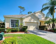 1325 Big Pine Drive, Valrico image