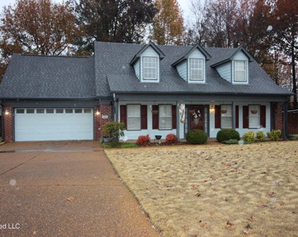 902 Virginia Pine Cove, Southaven