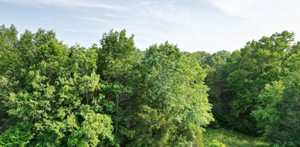 Franklin Rd, College Grove