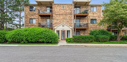 2241 W Nichols Road Unit #D, Arlington Heights