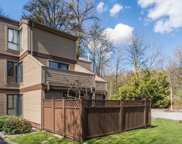 9146 Saturna Drive Unit 204, Burnaby image