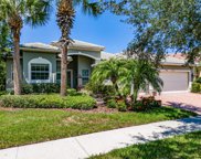 16107 Diamond Bay Drive, Wimauma image