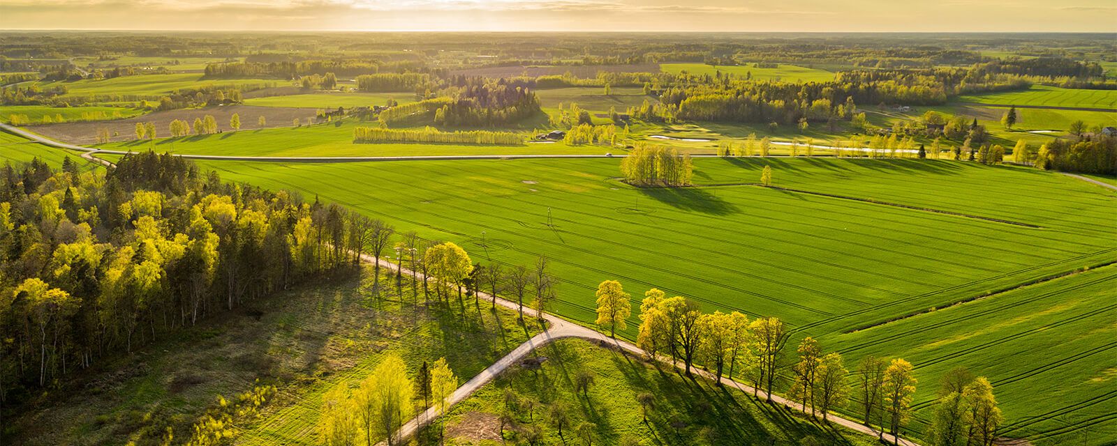 Western Pennsylvania Land Real Estate