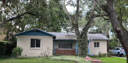 2936 W Lawn Avenue, Tampa