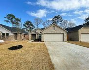 10117 Red Snapper Road, Magnolia image