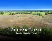 982 Shupak, Bellville image