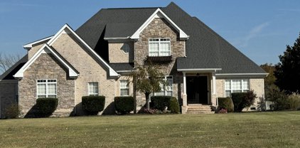 132 Blue Ribbon Trl, Christiana